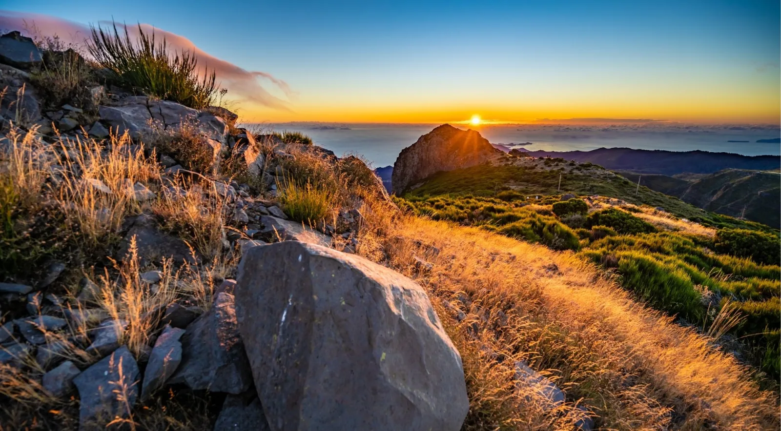 Sunrise light along a mountain trail lined with golden grasses and a large boulder