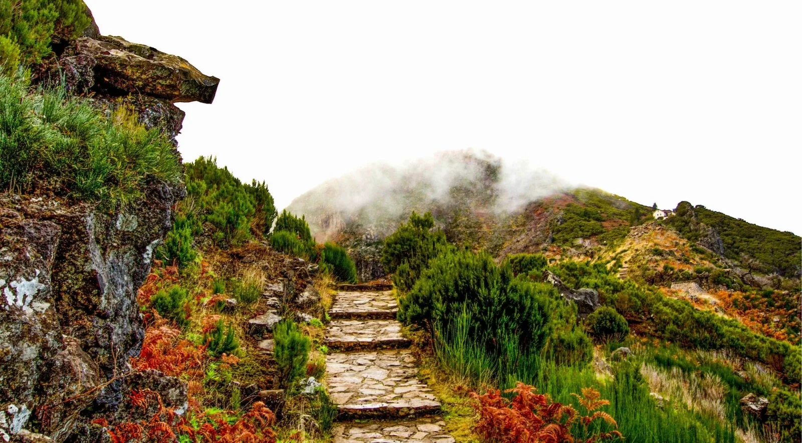 A paved mountain path lined with rust-coloured ferns leading toward the Pico Ruivo rest house in mist